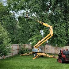 Trusted Cobden, IL Tree Removal and Landscaping Services Experts